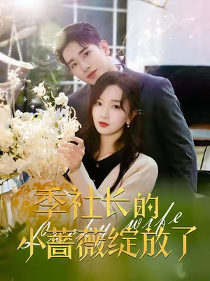 季社长的小蔷薇绽放了（60集）全季一次看完