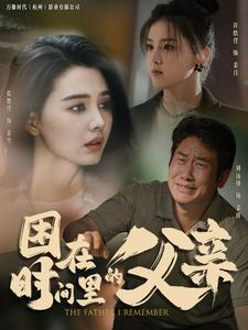 困在时间里的父亲（100集）在线看到大结局