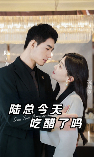 陆总今天吃醋了吗（50集）高清无码免费看