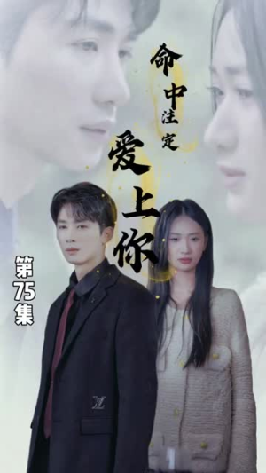 命中注定爱上你（96集）每日短剧追不停
