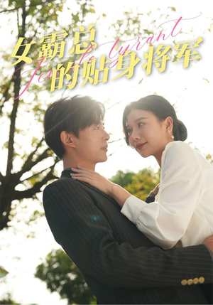 女霸总的贴身将军（80集）热门了短剧