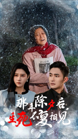 那年除夕后生死不复相见（48集）在哪里可以看