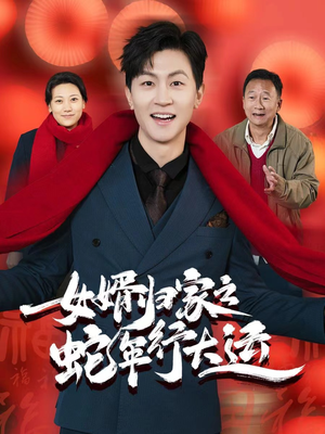 女婿归家之蛇年行大运（65集）全集免费