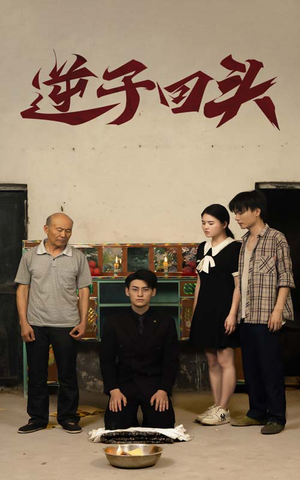 逆子回头（33集）高分佳作免费看