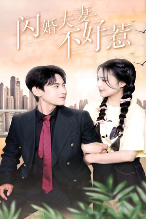 闪婚夫妻不好惹（90集）最火短剧推荐
