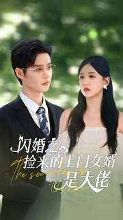 闪婚之捡来的上门女婿是大佬（79集）短剧爆款推荐