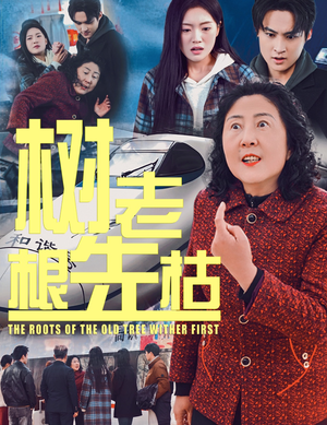 树老根先枯（33集）短剧推荐分享