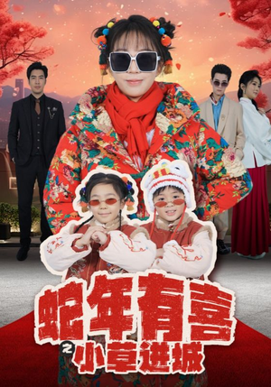蛇年有喜之小草进城（66集）1-102集