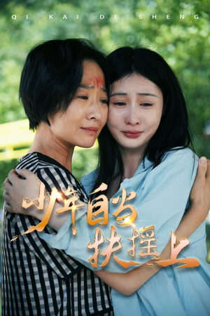 少年自当扶摇上（30集）一共多少集