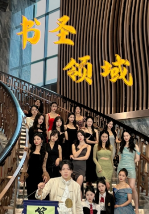 书圣领域（95集）完整版免费观看