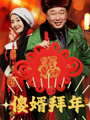 傻婿拜年（32集）精彩短剧合集