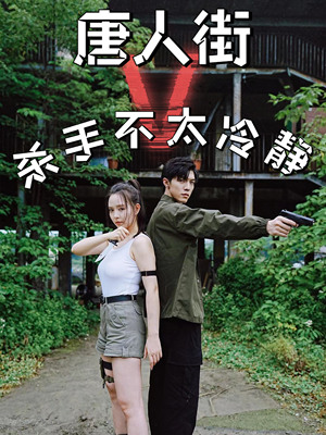 唐人街杀手不太冷静（20集）一口气看完