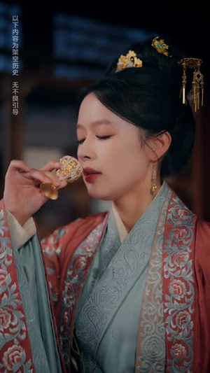 王妃娘娘有人下单啦（16集）百度在线观看
