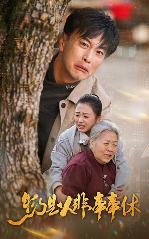物是人非事事休（41集）免费短剧合集