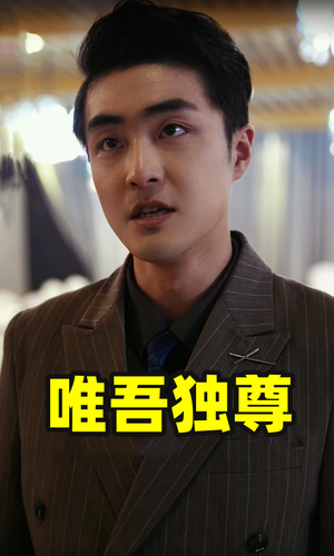 唯吾独尊（96集）海量短剧免费看