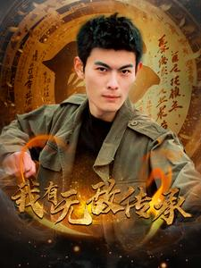 我有无敌传承（81集）经典老剧免费看