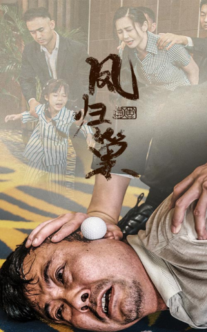新版：凤归巢（68集）免费短剧大全