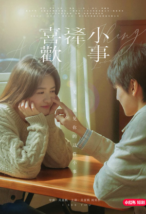 喜欢这件小事（15集）原创精彩短剧