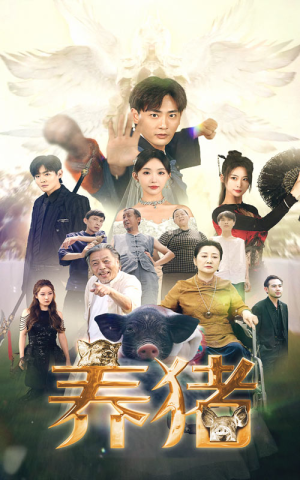 养猪（74集）一起追短剧吧