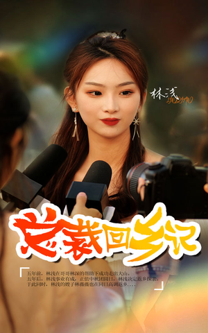 总裁回乡记（67集）好看吗