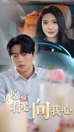 只愿君心向我心（31集）在哪个app能看