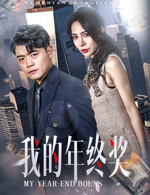 我的年终奖（30集） 全集在线看