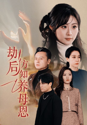 劫后方知养母恩（45集） 免费全集短剧