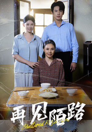 再见陌路（39集） 免费观看