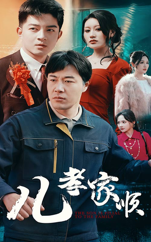 儿孝家顺（78集） 在线观看