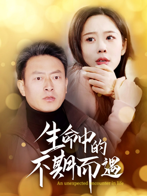 生命中的不期而遇（35集） 免费短剧资源