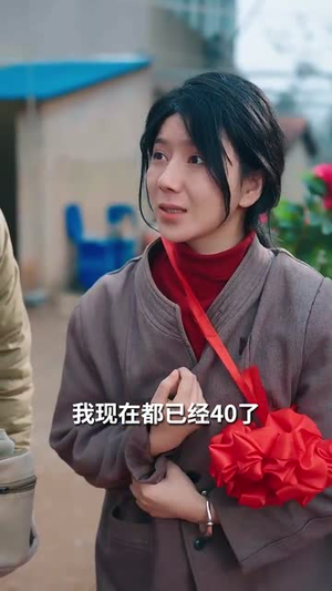 中年心事浓如酒（54集） 第一季