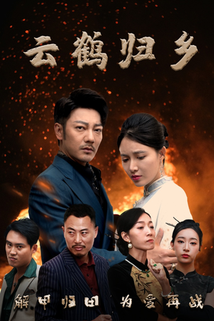 云鹤归乡（65集） 追短剧关注我