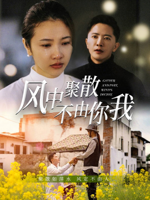 风中聚散不由你我（41集） 夸克在线观看