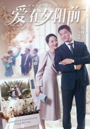 爱在夕阳前（41集） 全集免费观看