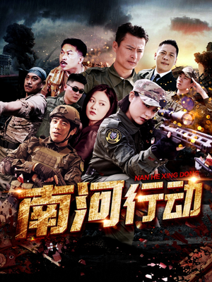 南河行动（51集） 在线播放