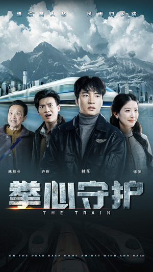 拳心守护（28集） 短剧抢先看