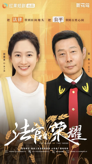 法官的荣耀（5集全）短剧全集大结局