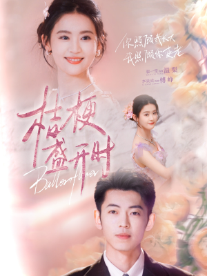 桔梗盛开时（92集）贝贝短剧分享