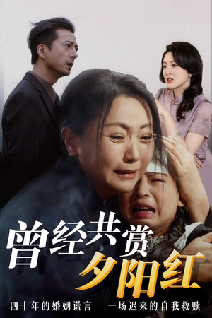 曾经共赏夕阳红 免费全集短剧