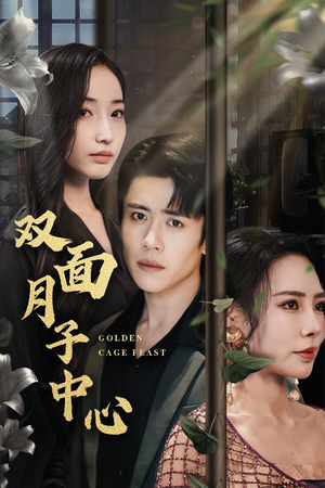 双面月子中心（58集）免费在线看全集