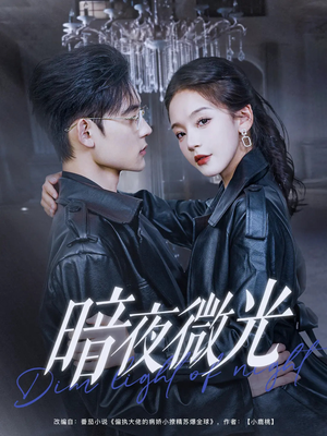 暗夜微光（86集）短剧小说在线看