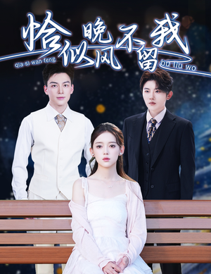 恰似晚风不留我（51集）演员表