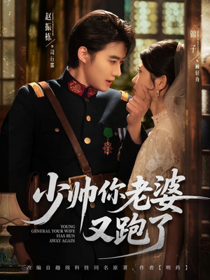 少帅你老婆又跑了（82集）番茄短剧免费看