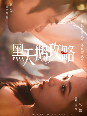 黑天鹅攻略（65集）在哪个平台看好