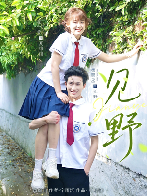 见野（79集）热门火爆短剧
