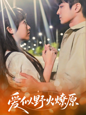 爱似野火燎原（47集）精彩短剧免费看