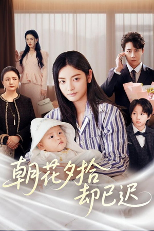 朝花夕拾却已迟（61集）短剧演员排行榜