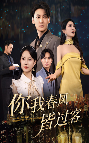 你我春风皆过客（58集）短剧太好看