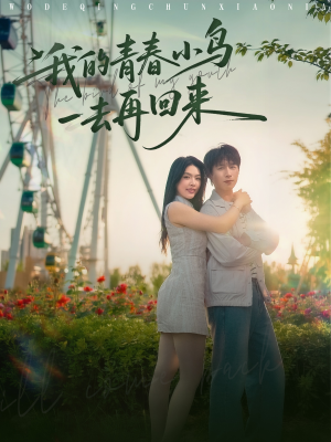 我的青春小鸟一去再回来（95集）短剧分享片段