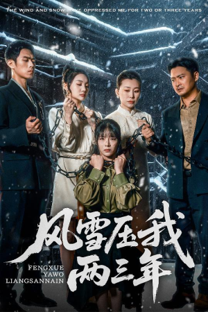 风雪压我两三年（50集）口碑之选免费看